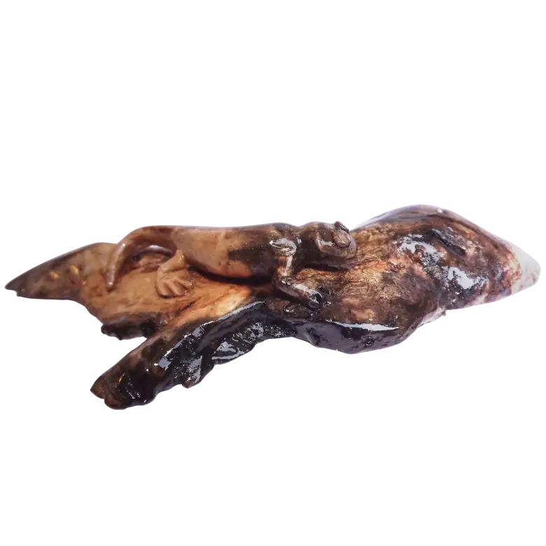 sculpture salamandre