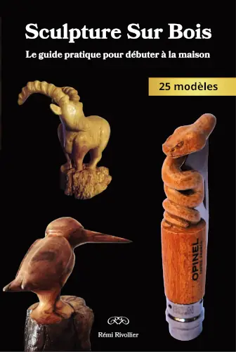 Apprendre la sculpture