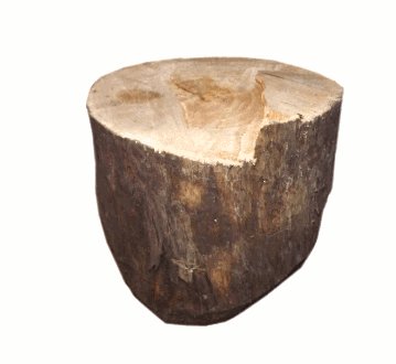 Bouquetin sculpté gif m