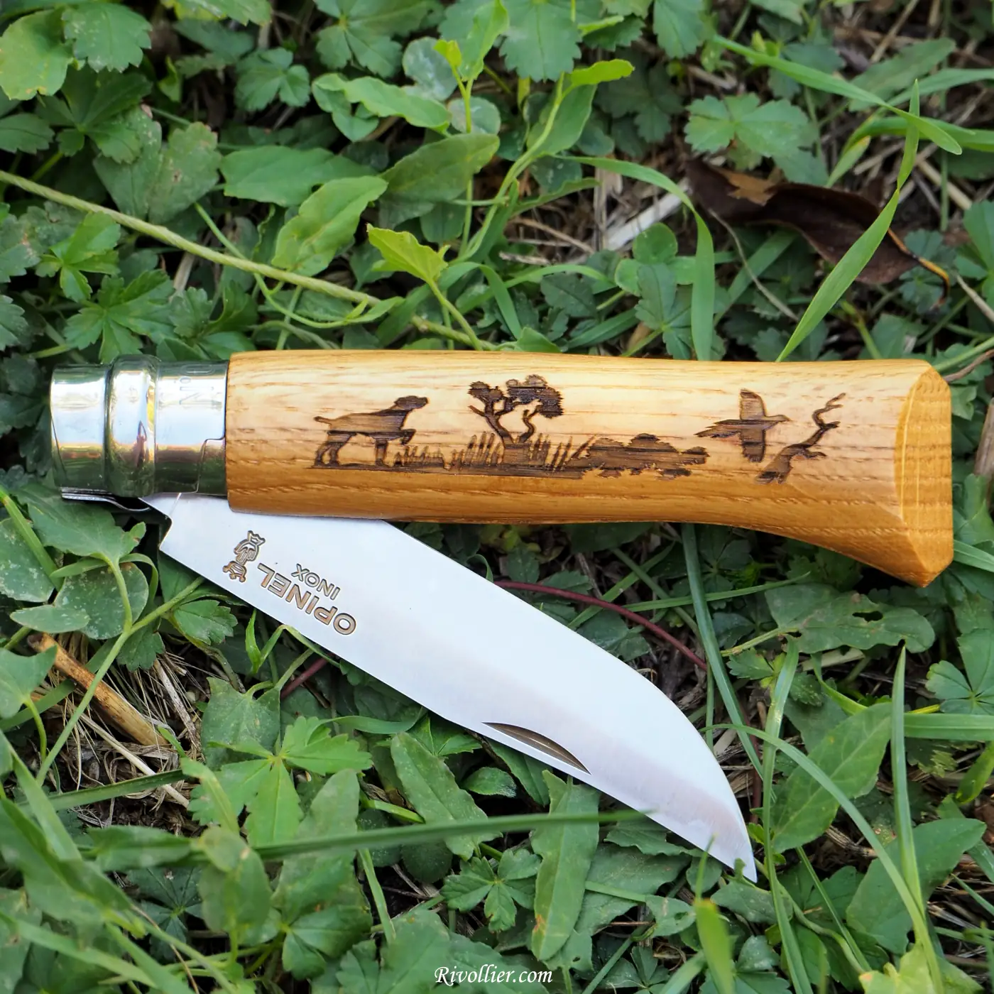 Opinel N°8 Gravé - Chien de chasse – Image 4