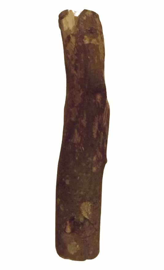 Etapes pour la sculpture d'une femme dans un morceau de bois