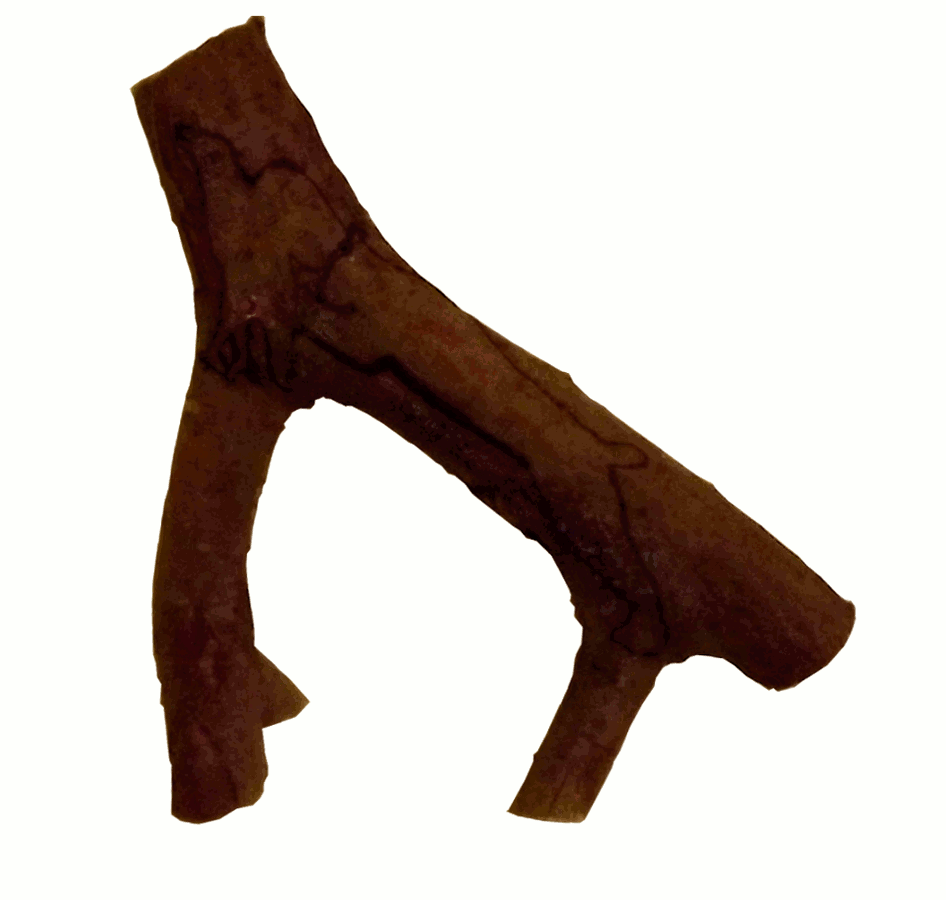 Etapes d'une sculpture sur bois