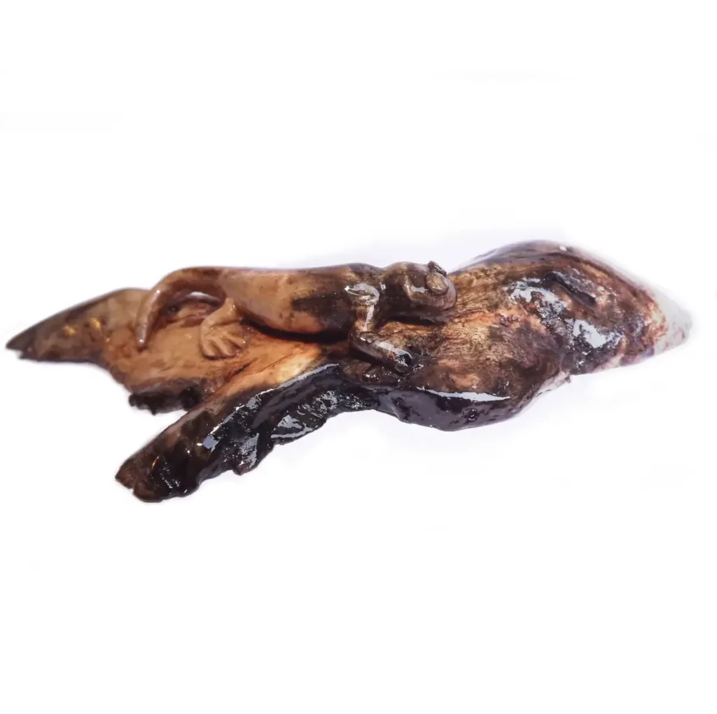 sculpture salamandre bois flotté c