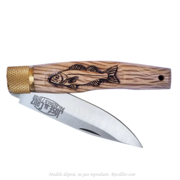 Pêche Bar couteau