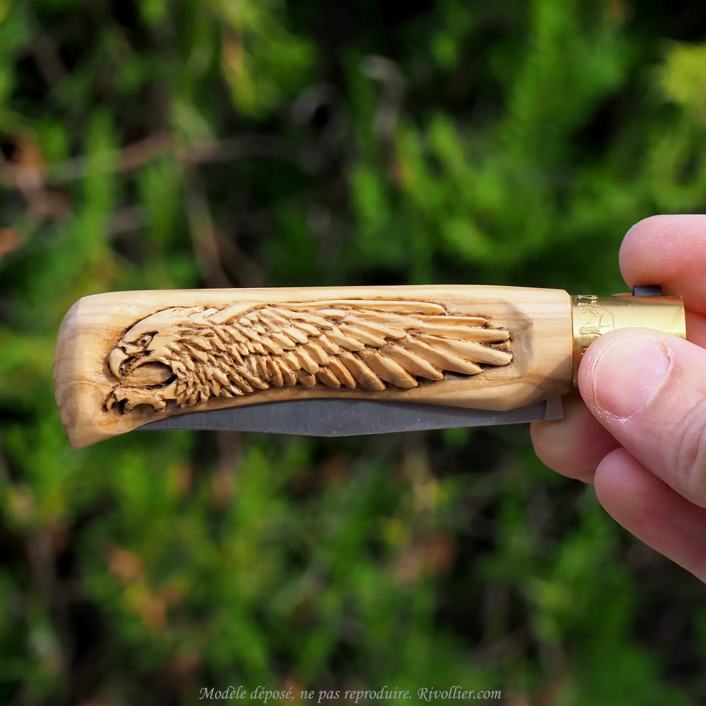 couteau aigle style opinel