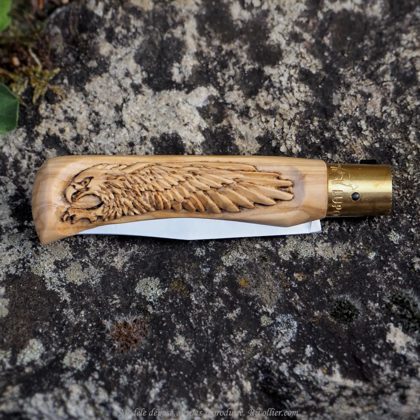 couteau aigle royal
