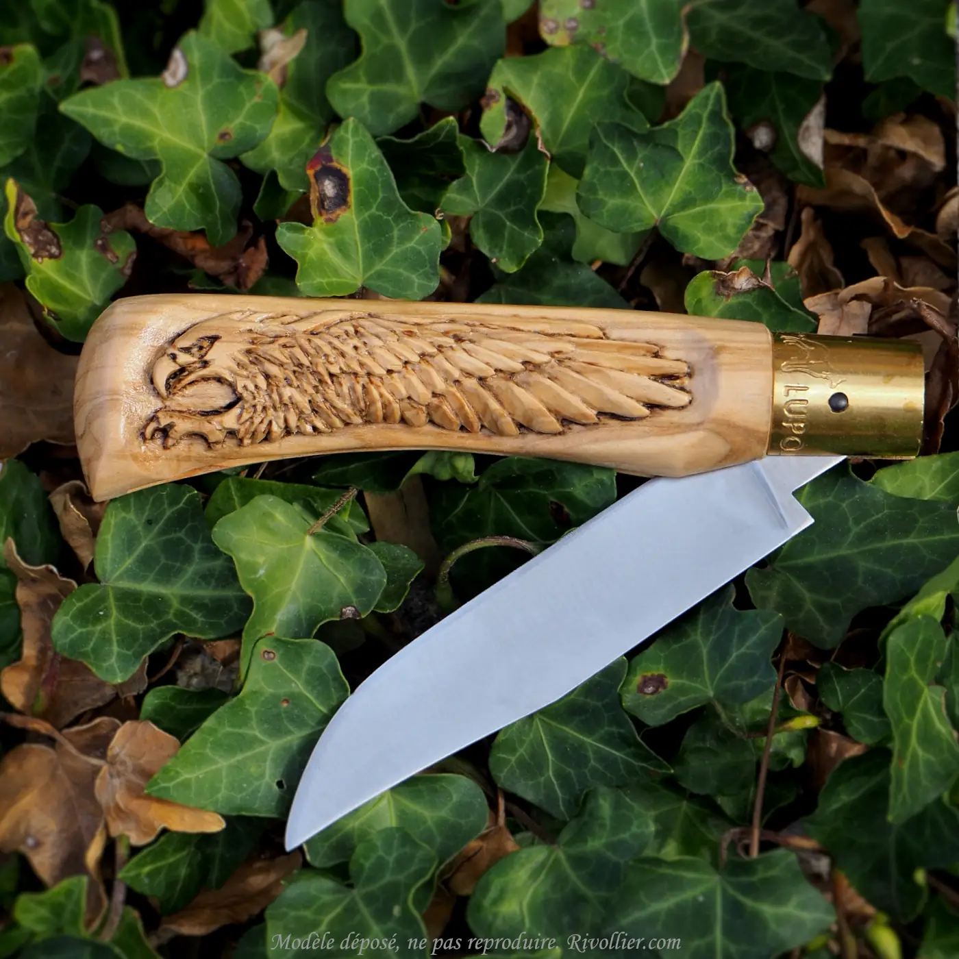 couteau de poche aigle