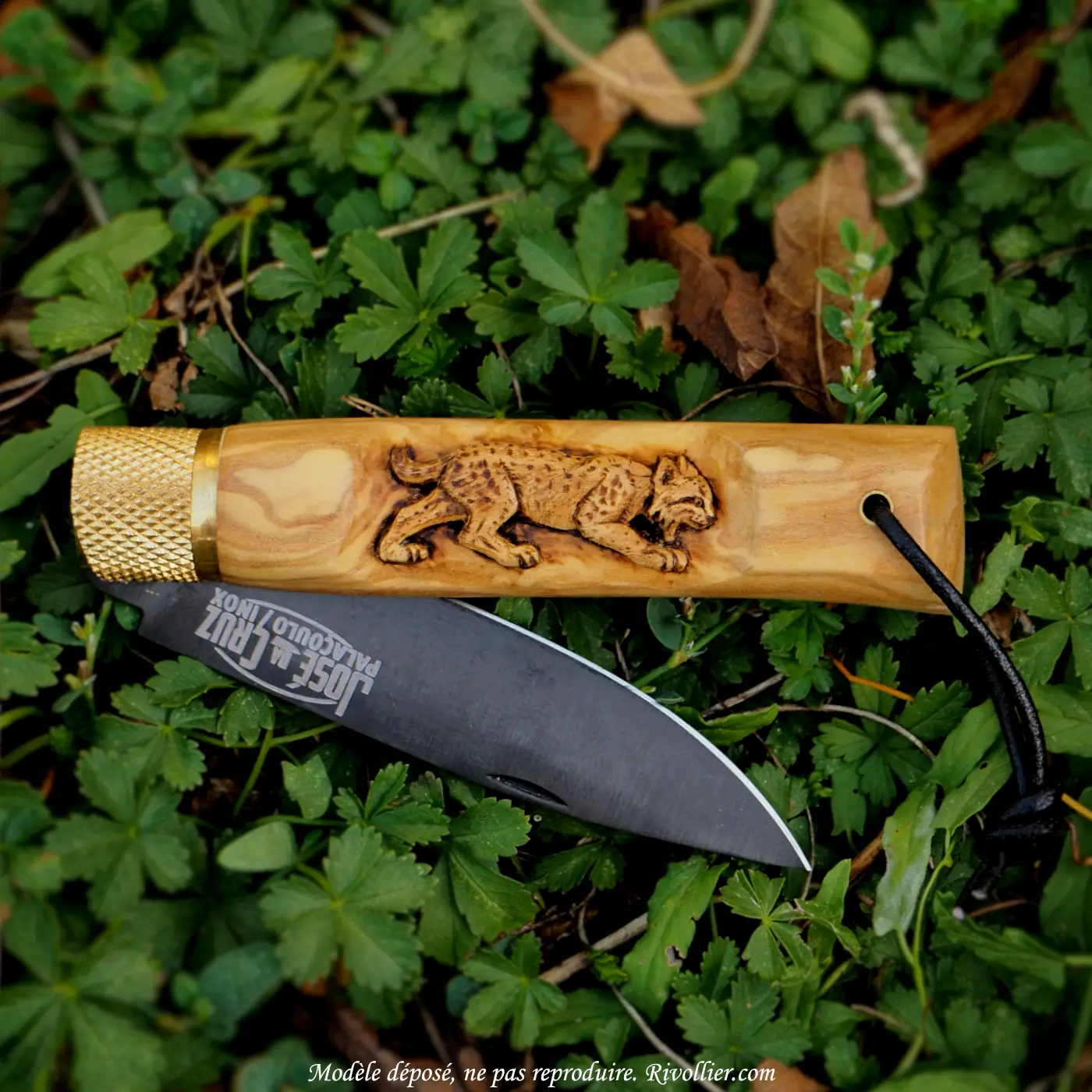 Couteau Lynx - Olivier – Image 9