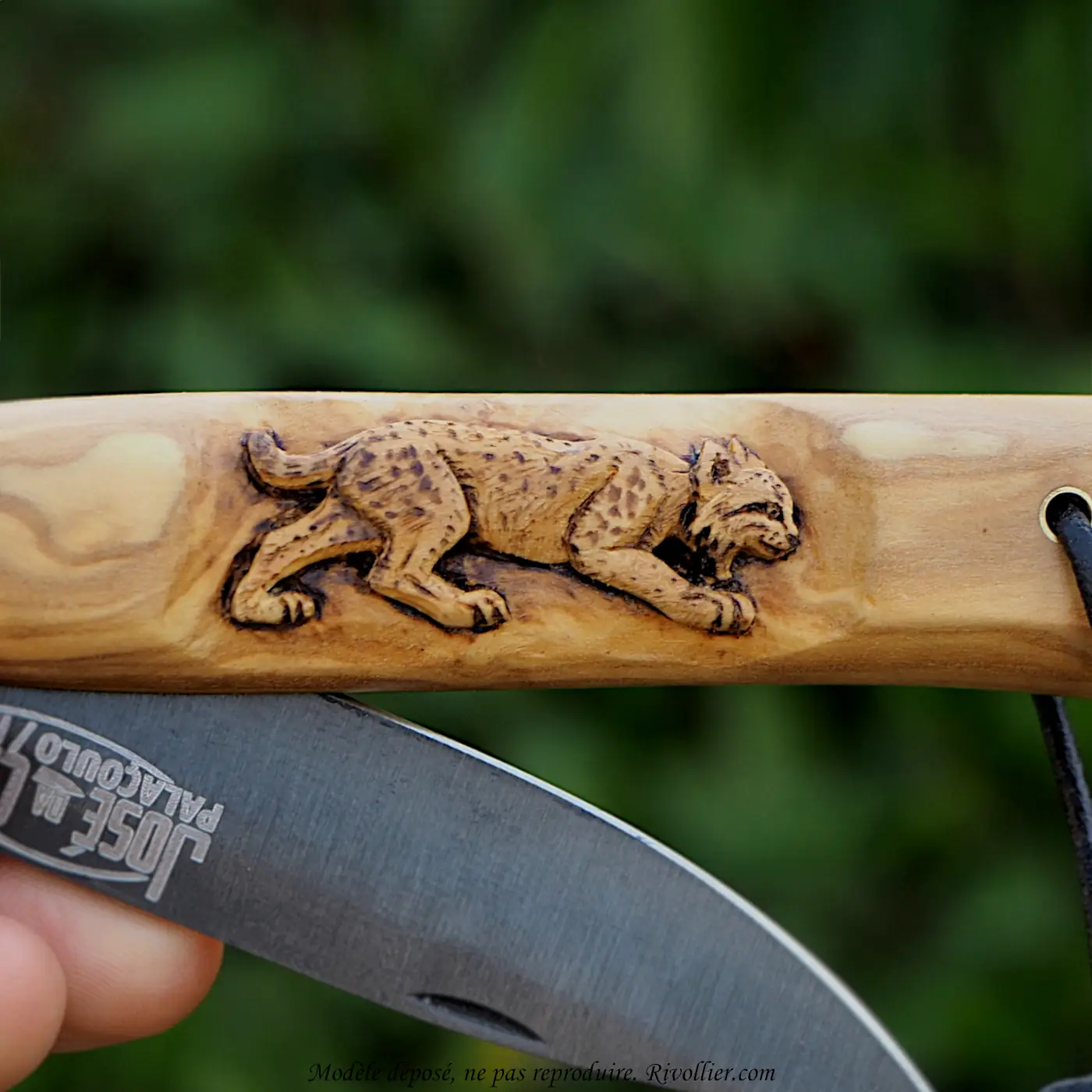 Couteau Lynx - Olivier – Image 5