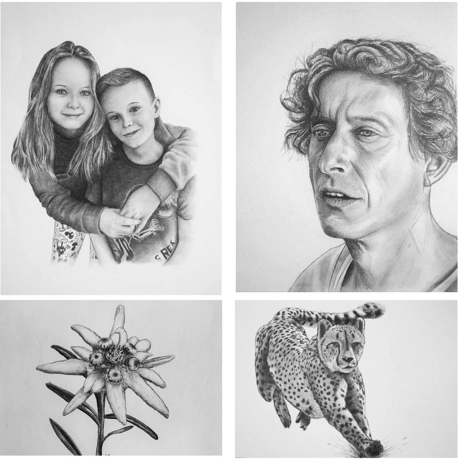 dessins rémi rivollier