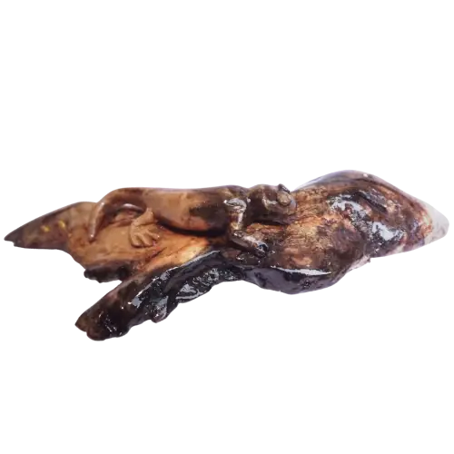 sculpture de salamandre