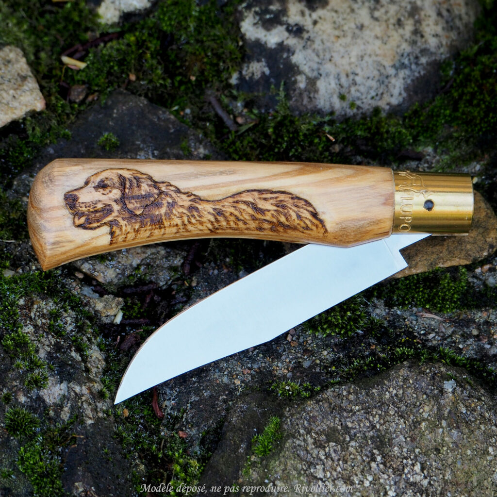 Cadeau Golden Retriever