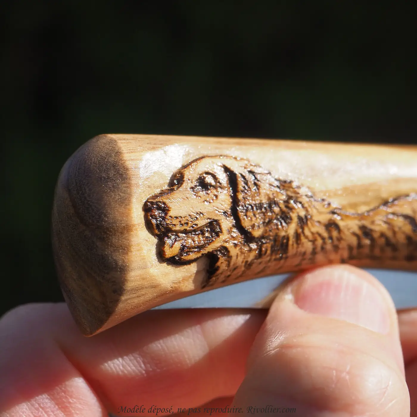 Cadeau chien