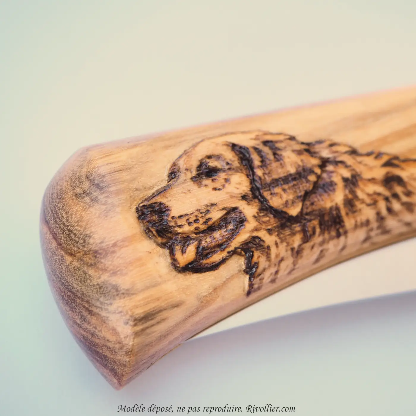Sculpture chien Golden retriever