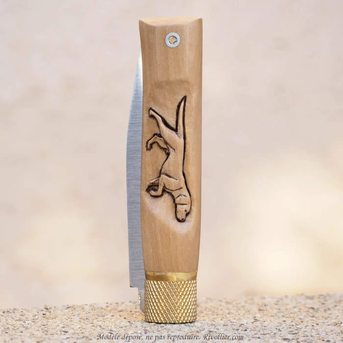couteau chien de chasse
