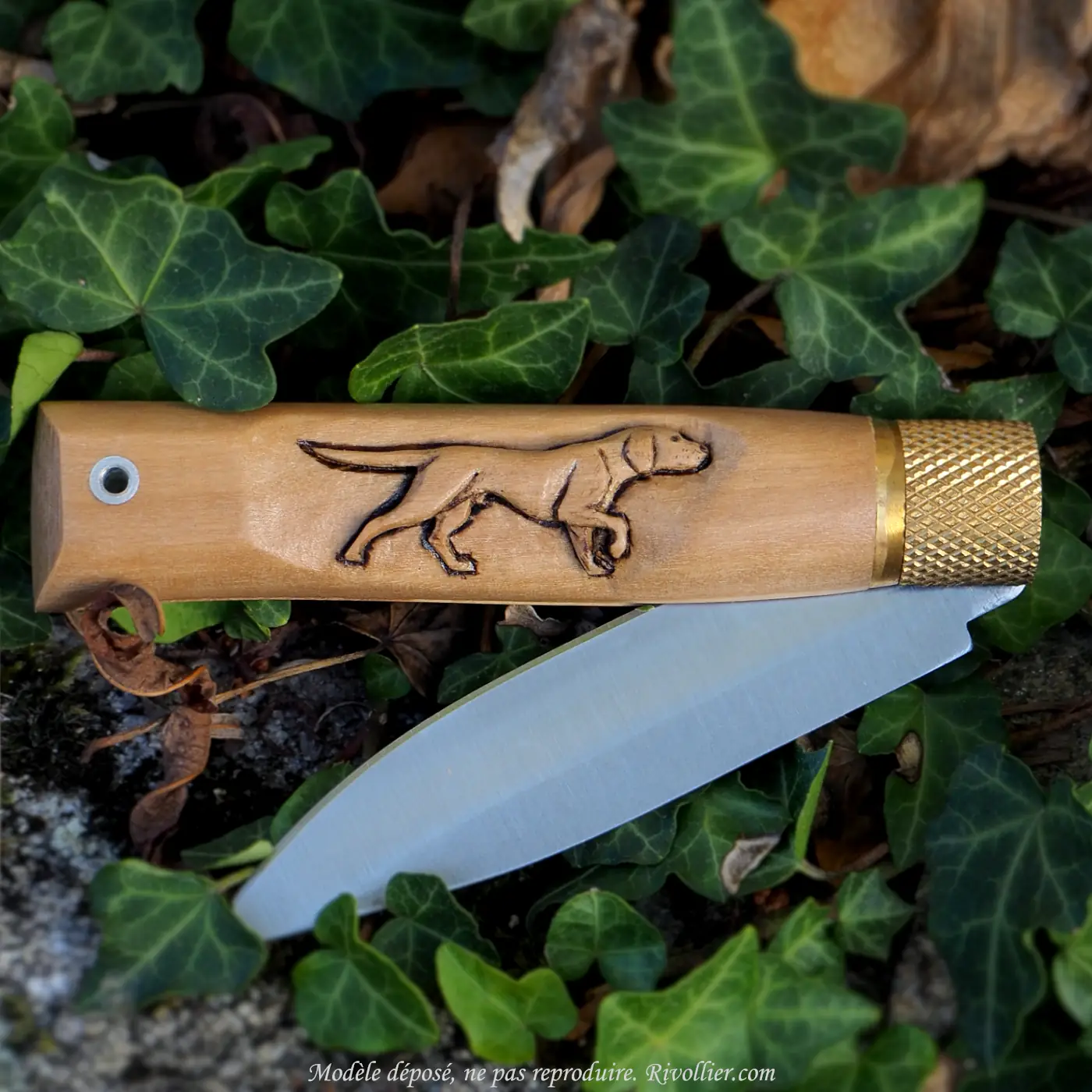couteau chien de chasse