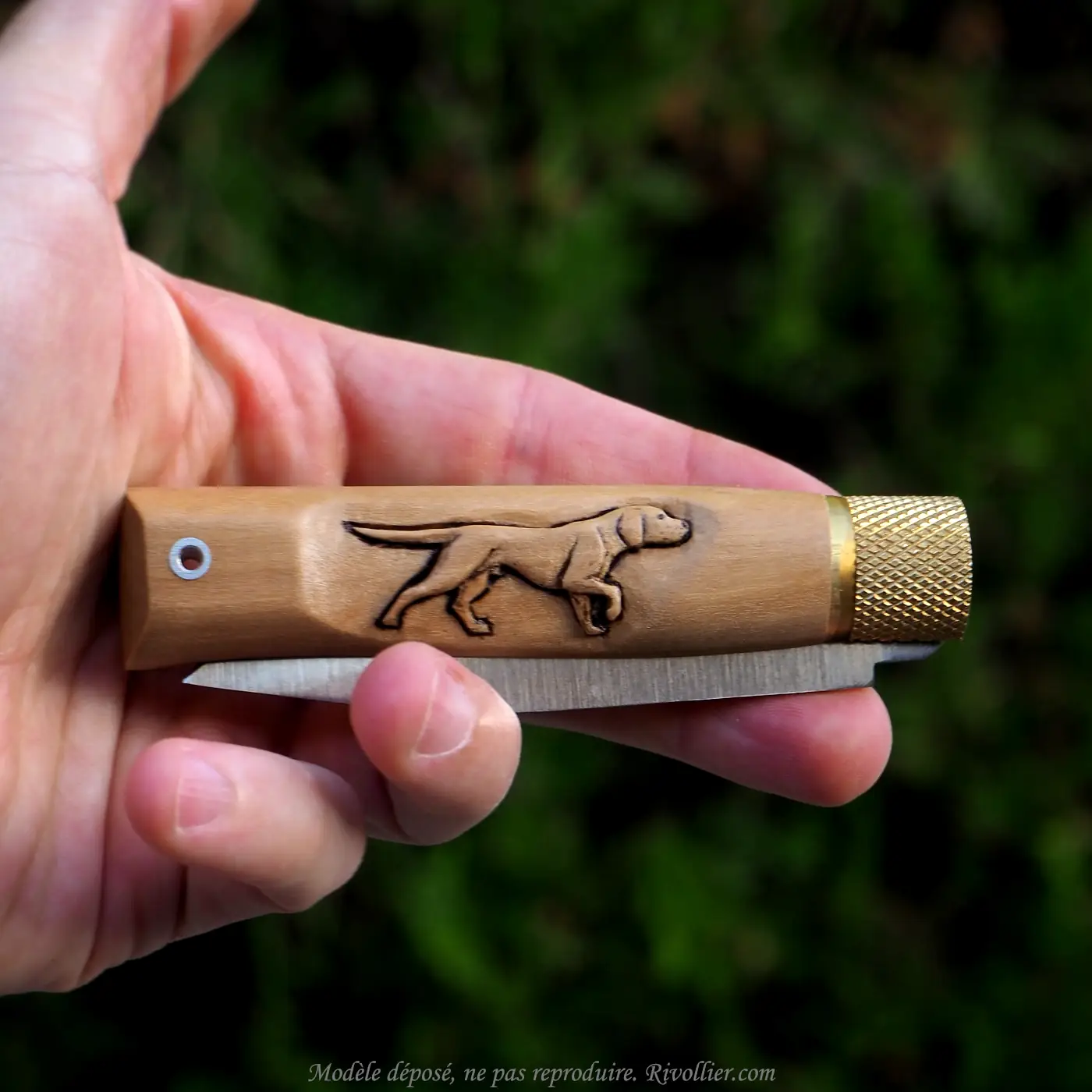 couteau chien de chasse