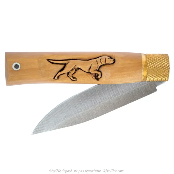 couteau chien de chasse