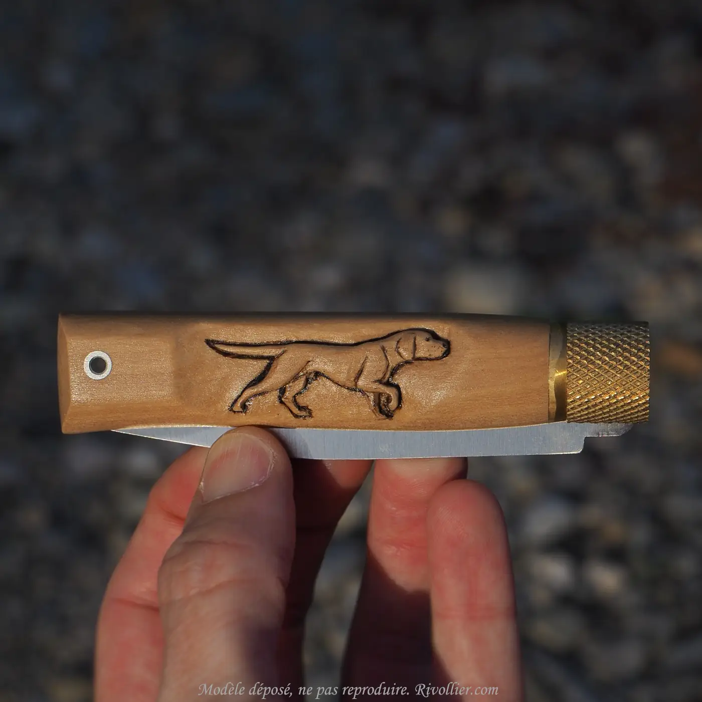 couteau chien de chasse