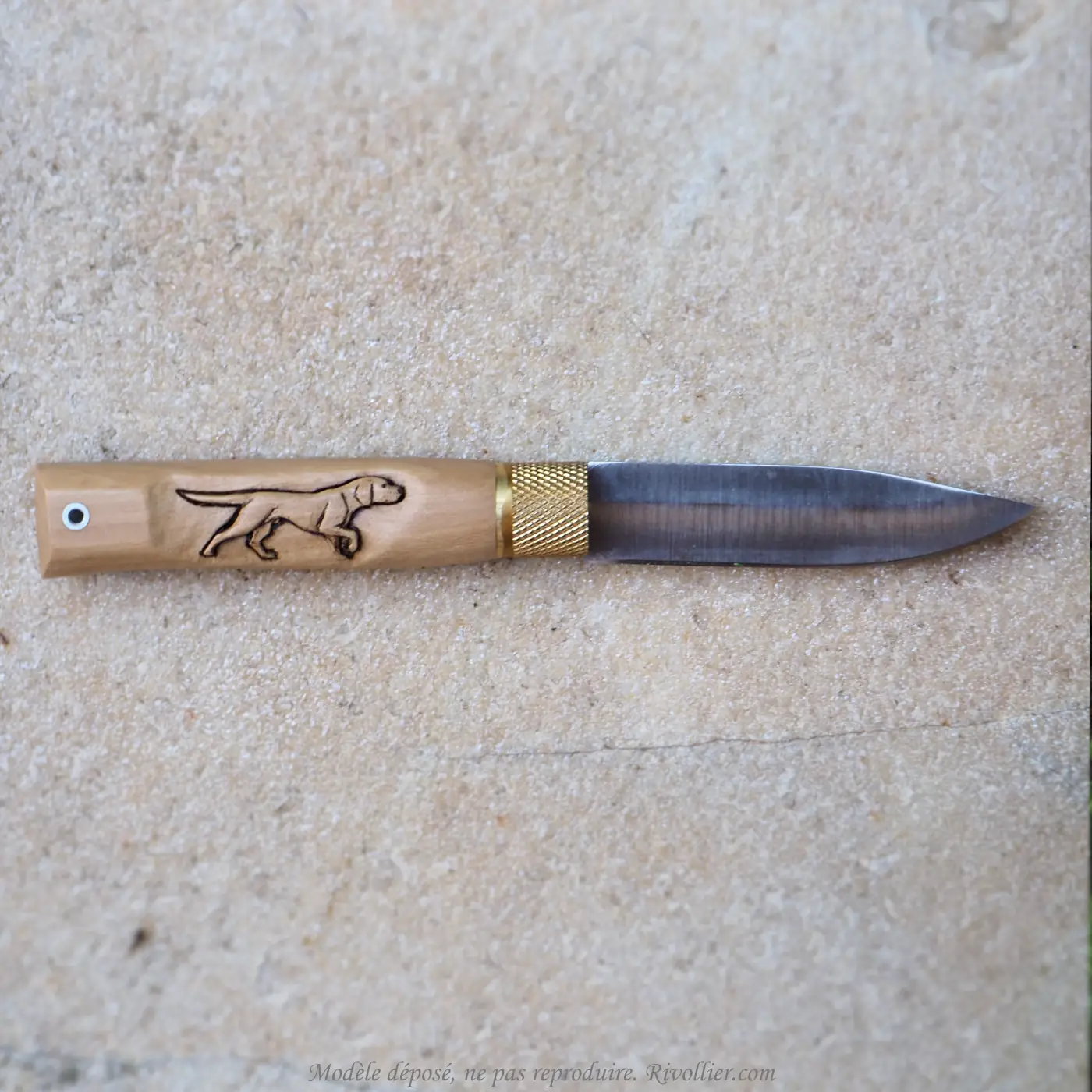 couteau chien de chasse