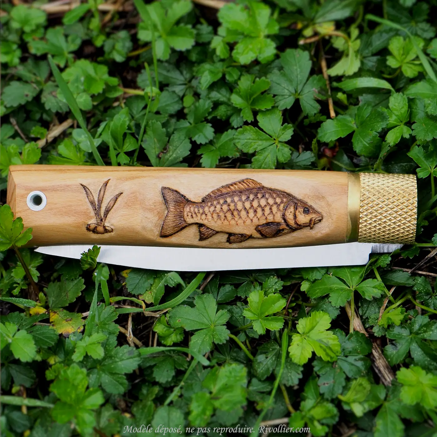 couteau pêche a la carpe