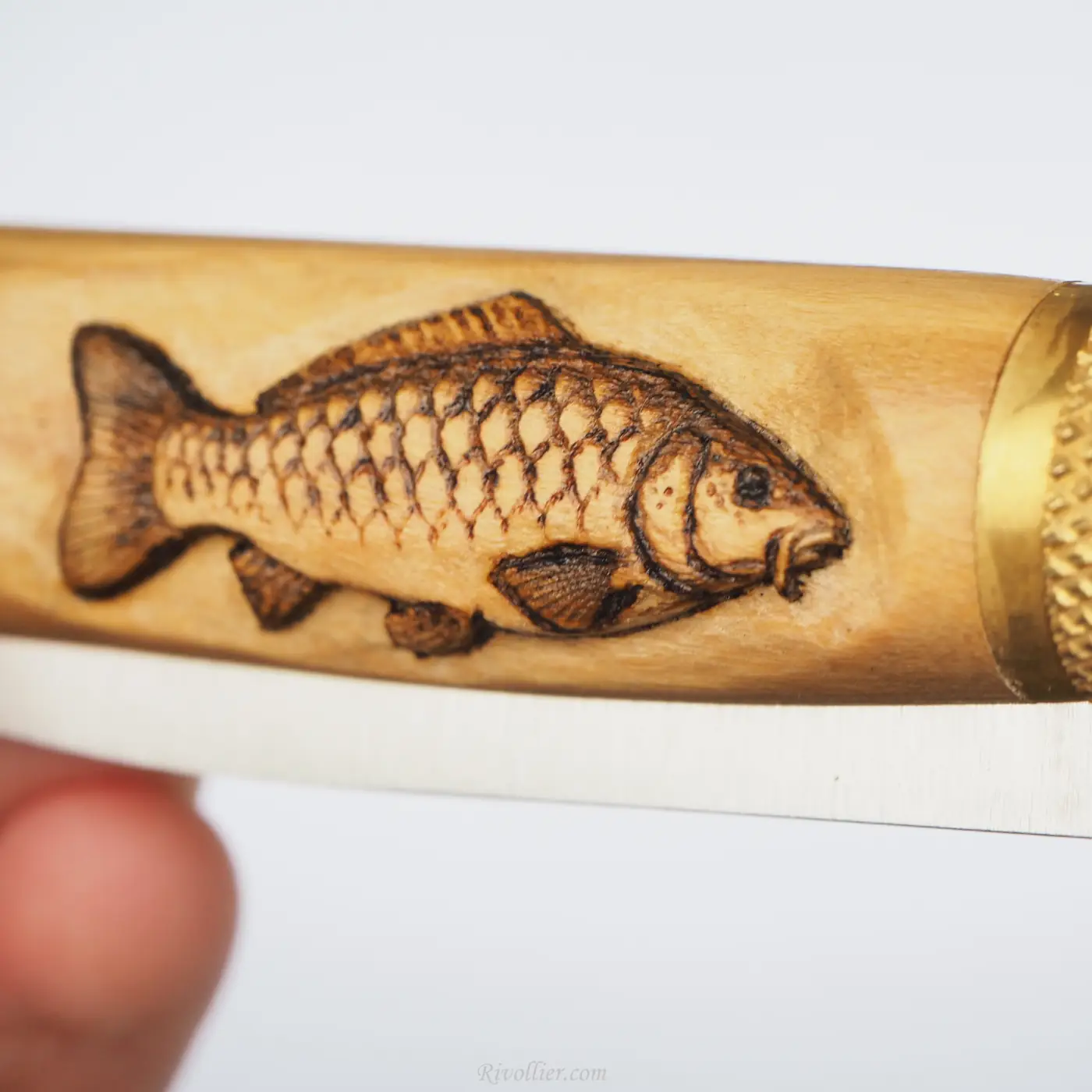 couteau pêche carpe 2