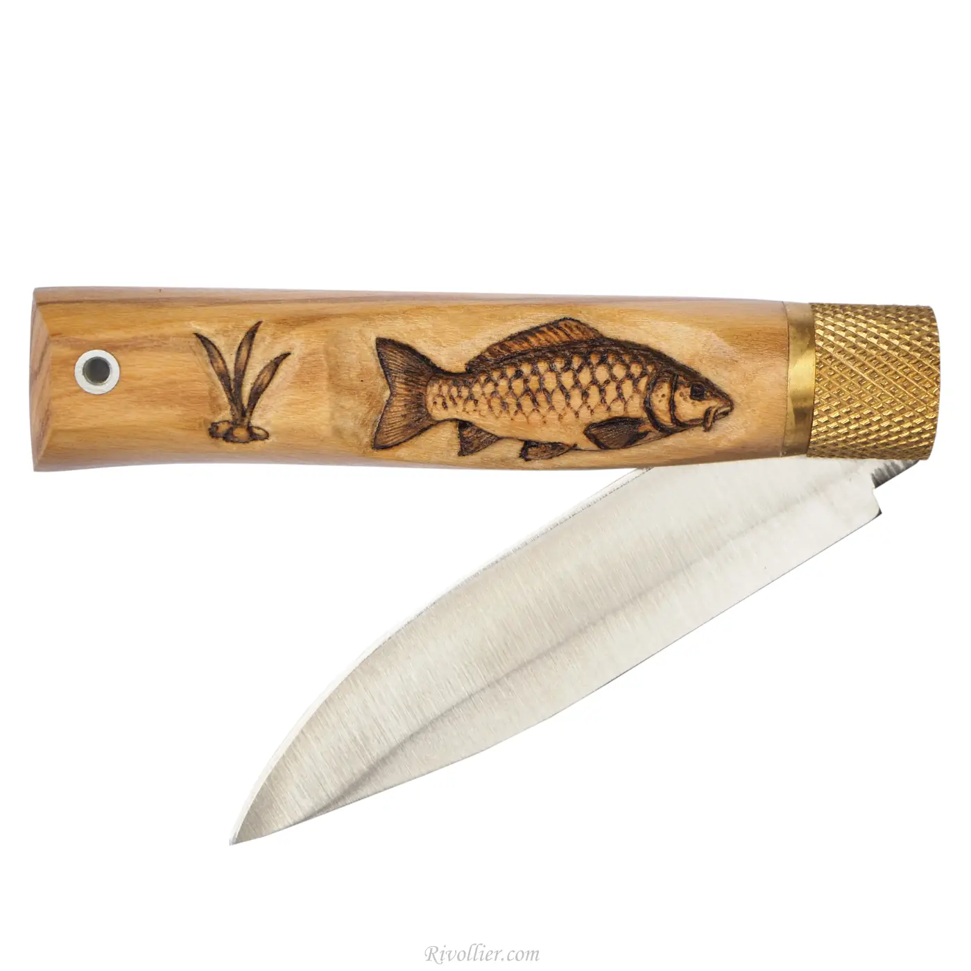 couteau pêche carpe d