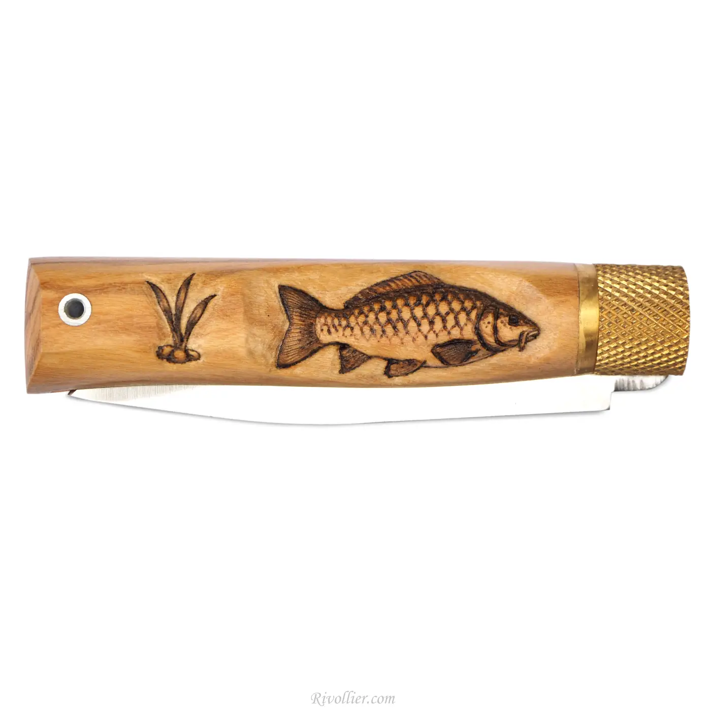 couteau pêche carpe