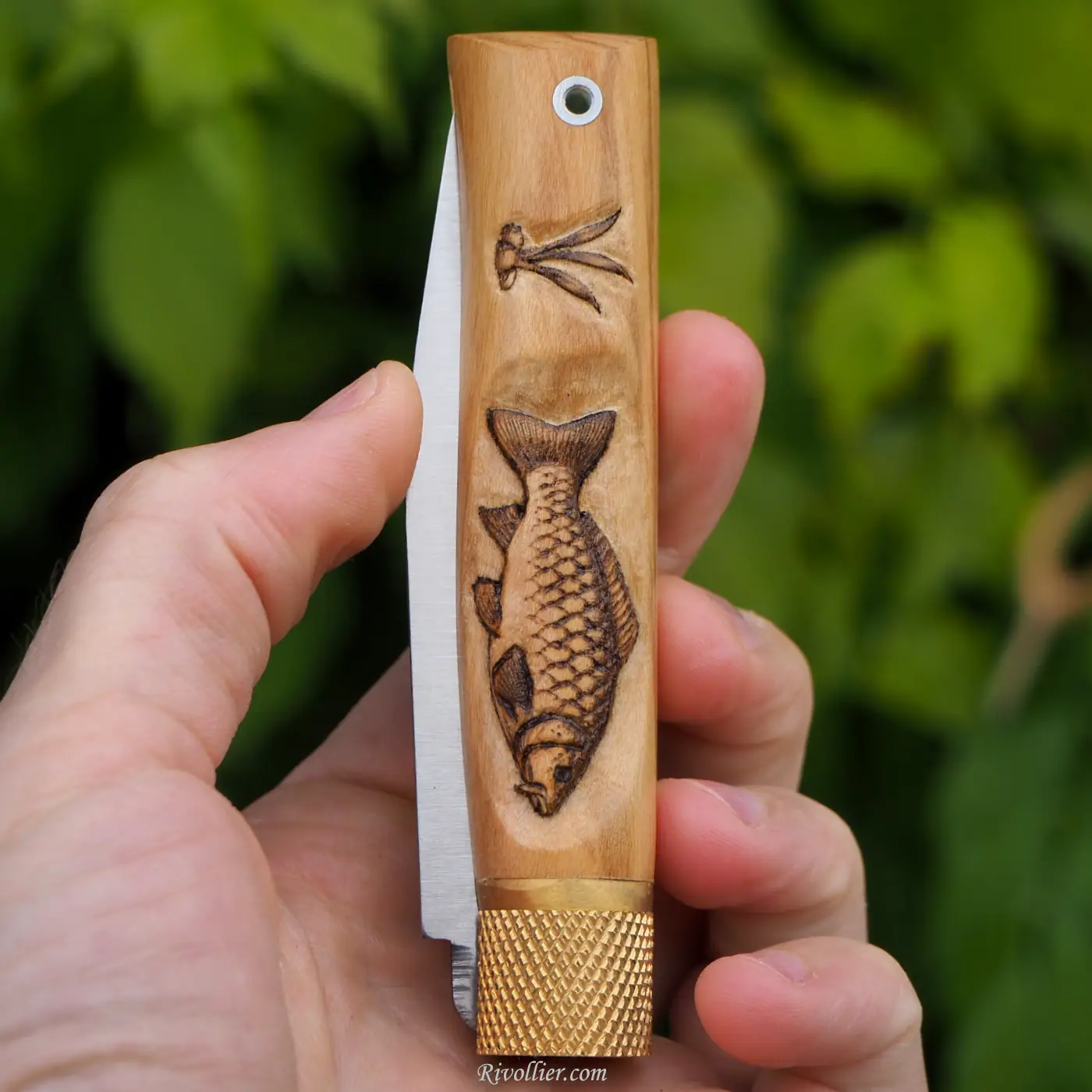 couteau pêcheur carpe