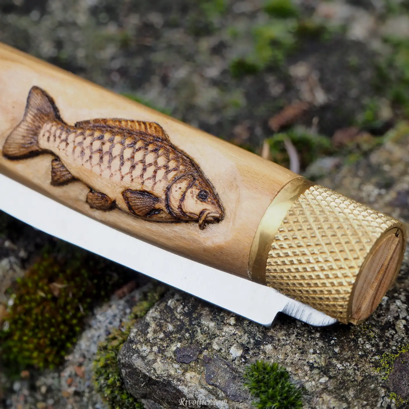 couteau pêcheur carpiste
