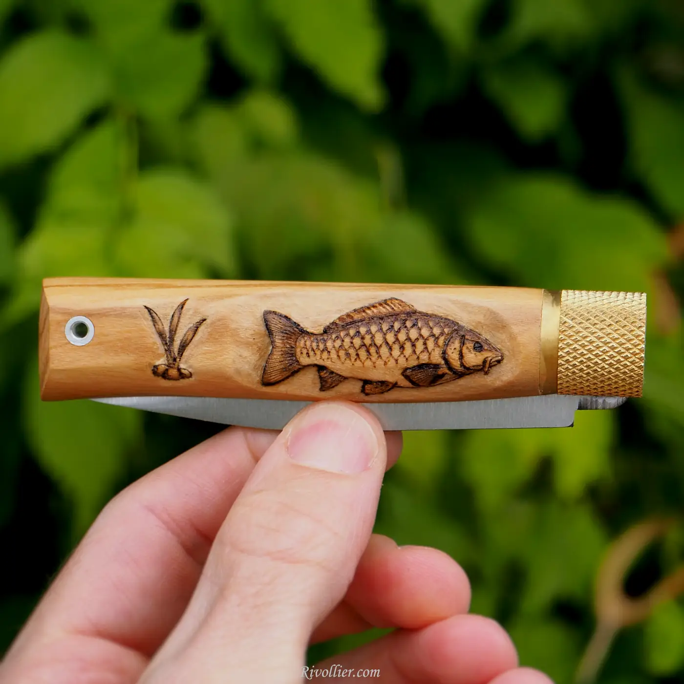 couteau pêcheur carpiste