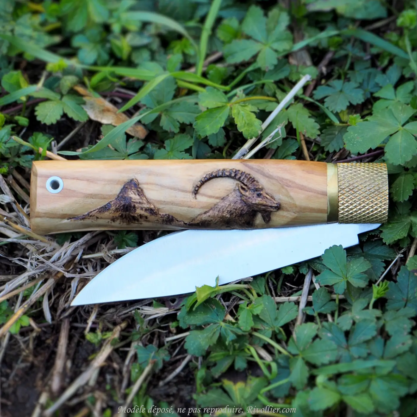 Couteau personnalisé - Bouquetin et montagne – Image 7